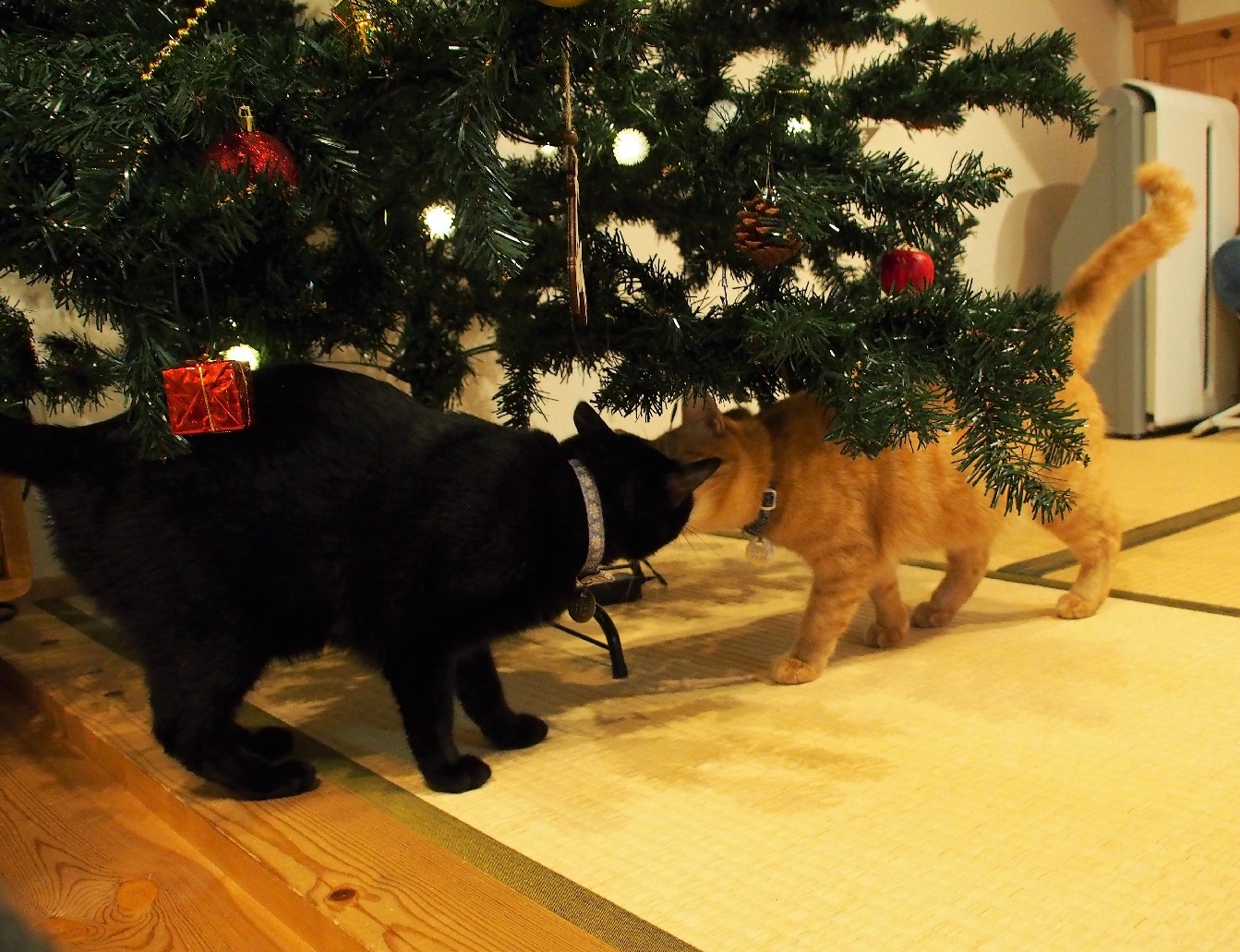 クリスマスツリーの下で、チュッ