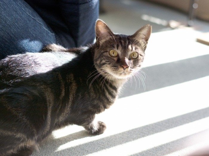 「おじさん、手ぶらで遊びに来たの？」（小林写函撮影）