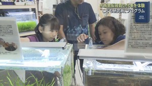 展示の裏側で飼育員の仕事を体験　仙台・うみの杜水族館でイベント