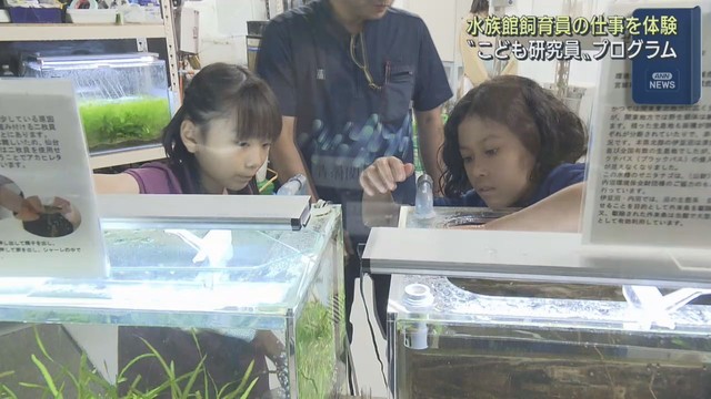 展示の裏側で飼育員の仕事を体験　仙台・うみの杜水族館でイベント