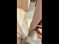トイレの引き戸が開かない！？ そこにいたのはーー（画像提供：ゴールデンレトリバーの心晴（こはる）さん）