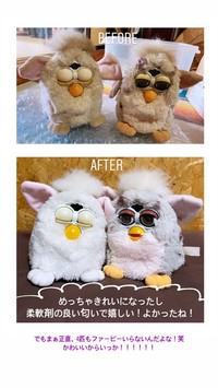 現在は、たくさんのファービーが保護されて、キレイにしてもらっているようです（提供：ballJPさん）