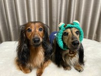 カエルさんが好きすぎて被り物も作ってもらった＝るのんさん（@lunon0401）提供
