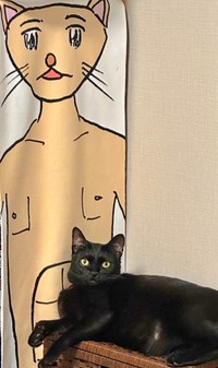 まったりくつろぐポルちゃん（画像提供：つんさん）