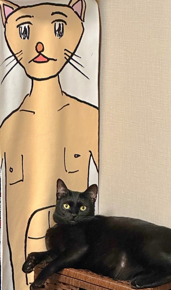 まったりくつろぐポルちゃん（画像提供：つんさん）