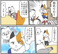 ネコの発言にイラッとするイタチ（ろふさんの提供）