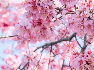 戦争に使われるなら募金は怖い。でも、アートでなら支援できる