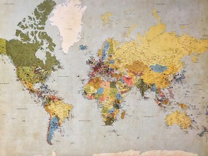 国も世界も生きている。無関心だった私が政治に興味を抱いたきっかけ