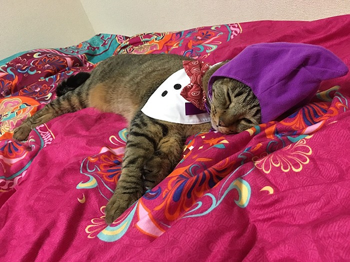 ママはコスプレ好きなの