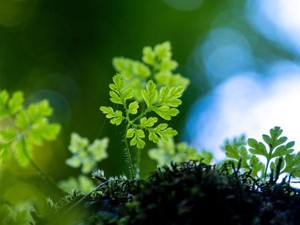 一人暮らしだけが「自立」じゃない。実家暮らしの同期から学んだこと