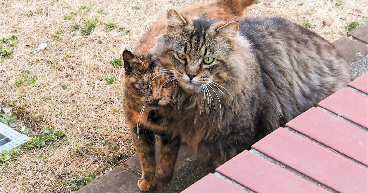 シェルター1のモテ男「クマくん」 ただならぬオーラを放ち、老若男女