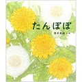 荒井真紀さんの絵本「たんぽぽ」　じっくり観察すると見えてくる、生き物の面白さ