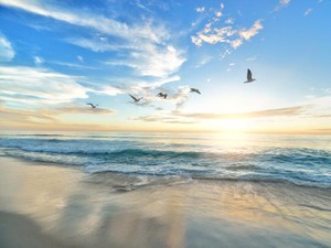 縁を切る予定だったバドミントン人生も、続けることで変われた自分