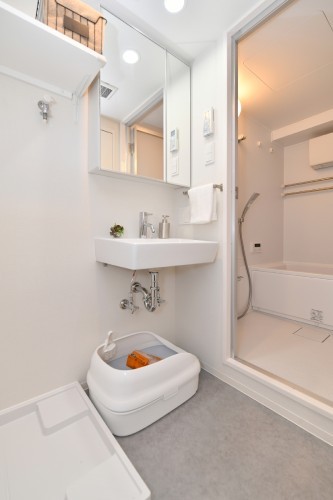 猫は3匹まで一緒に暮らせます。きれい好きな猫。マイトイレにこだわりのある猫ちゃんのために、複数のトイレが置けるようになっています