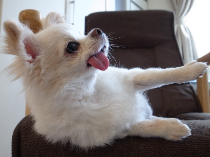 ママを見つめて語りかけます