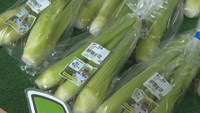 里庄町で特産野菜「マコモタケ」の初売り　中華料理では高級食材　岡山