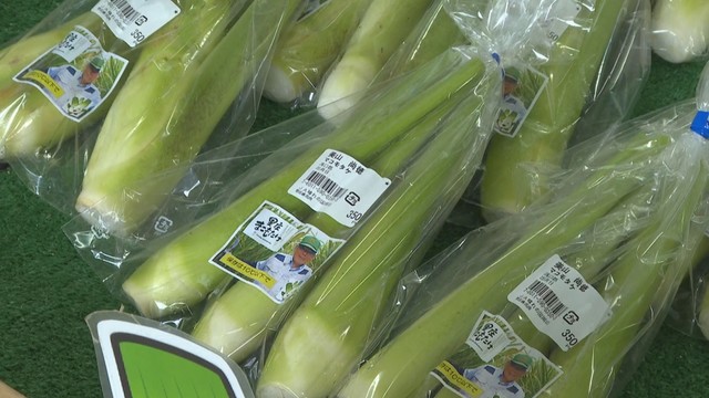 マコモタケ　岡山・里庄町