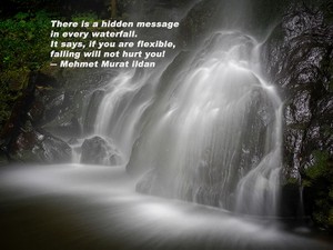 人生には柔軟さが必要だ　変化の時代に生きる人へのメッセージ