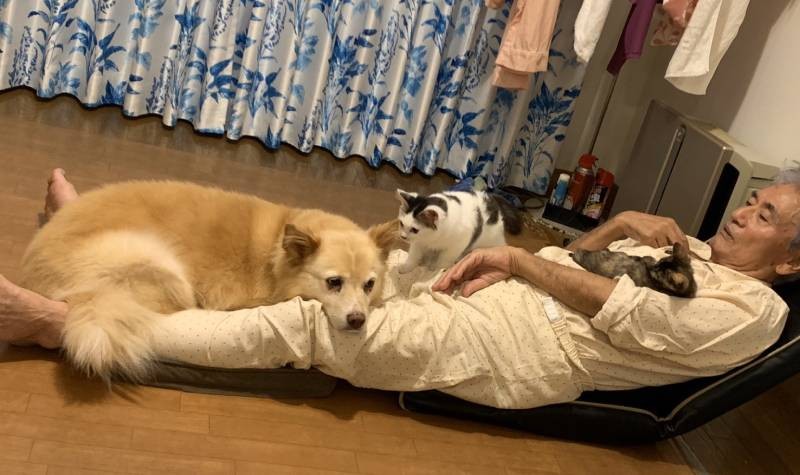 知枝さんの実家にも保護犬と保護猫が……。動物にモテモテのおとうさん（知枝さん提供）