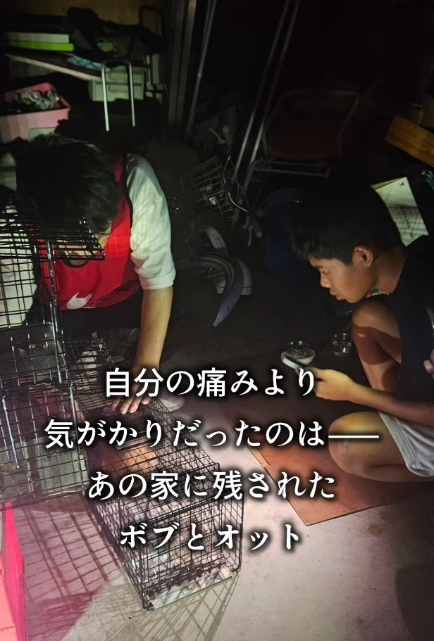 けがを負った息子さん。捕獲器を設置して愛猫たちの帰りを待った（「つかねこ動物愛護環境福祉事業部」さん提供、Instagramよりキャプチャ撮影）