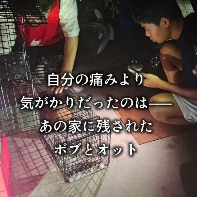 けがを負った息子さん。捕獲器を設置して愛猫たちの帰りを待った（「つかねこ動物愛護環境福祉事業部」さん提供、Instagramよりキャプチャ撮影）