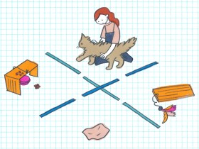 ヒトとの接触、食べもの、オモチャ、匂い…　ネコが好む「刺激」を調査