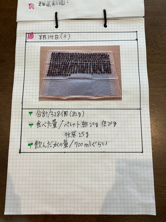 調査初回、うんちの量は予想を上回る328個！（親御さん提供）