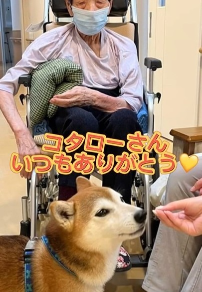 コタローくんもセラピードッグとしてホームに足を運んでます！（社会福祉法人揺籃会『ゆうあいの郷』提供、Instagramよりキャプチャ撮影）
）