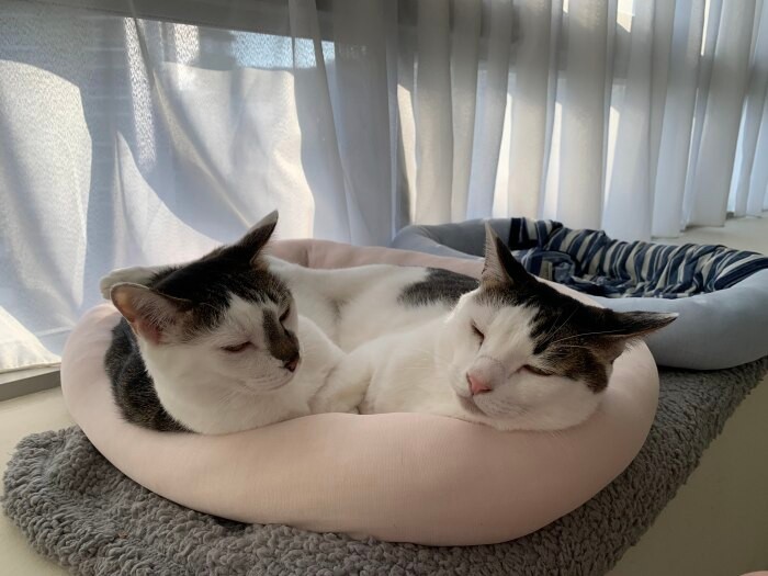 「一緒だとどこにいても心強いね」（晴美さん提供）