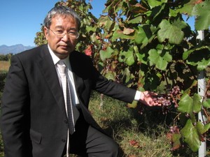 甲州ワイン、世界市場への挑戦　セブン＆アイは海外から原料輸入、国内向けに格安商品