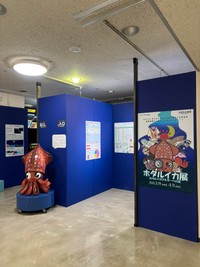 （魚津水族館提供）