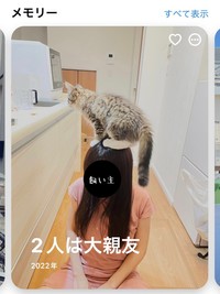 「２人は大親友」！(画像提供：しろあん でっかい北欧猫さん)