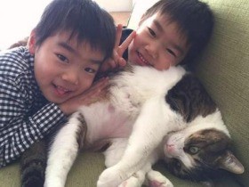体重１０キロ、島から来た巨大な猫「島男」　家族に幸せを呼ぶ
