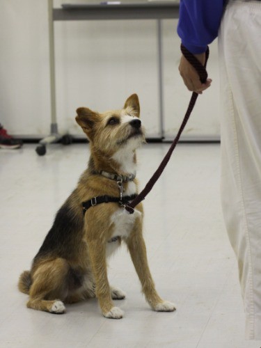 リョウをまっすぐ見つめるロン