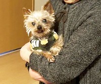 「虹の橋の向こうでもも明るく元気に過ごしていてね」