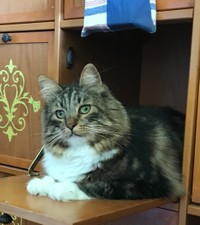 棚に収まってハイ、ポーズ…こんなに大きくなりました