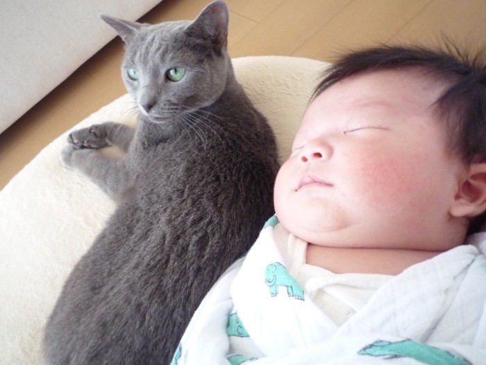 長男が赤ちゃんの時、寄り添って寝たり、心配で寝室をのぞきにいった“お母さん”みたいなこっちゃん（Ｍさん提供）