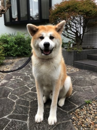 玄関の前でポーズを決める勘三郎