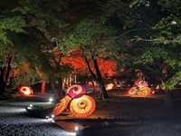 秋を楽しむ「津山城もみじまつり」開催