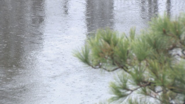 高松市の様子 午後2時半ごろ