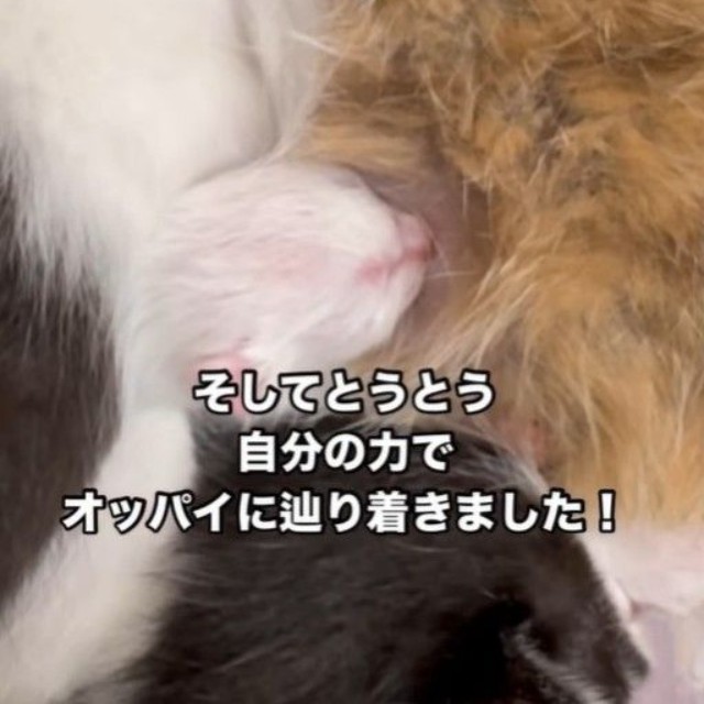 オッパイを自力で飲むことができるようになったという（凛（Rin）さん提供、Instagramよりキャプチャ撮影）