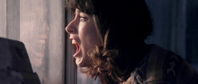 一体何を目撃しているのか…