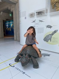 ハーフみ消えた？2歳3カ月になった娘さん／haruさん（@hrk_24567k）提供