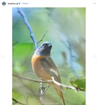 宮内庁インスタグラムから