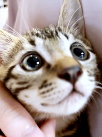 初対面時のひらりくん（画像提供：とららさん）