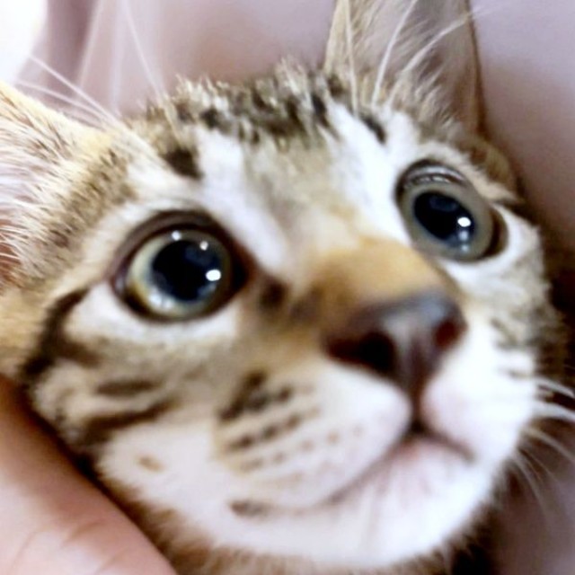 初対面時のひらりくん（画像提供：とららさん）