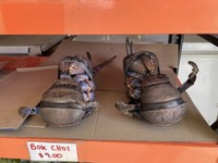 ガソリンスタンドの売店で売られていたヤシガニ。現地では「ウガ」と呼ばれる