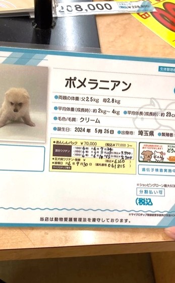 気になって何度もペットショップに会いに行った飼い主さん（飼い主さん提供、Instagramよりキャプチャ撮影）