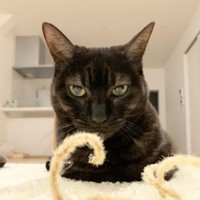 遊びまくって、充実しているゆずちゃん＝mosscat25さん提供