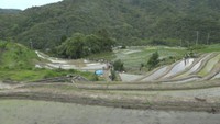 小豆島の「中山千枚田虫送り」が中止　雨の影響　香川